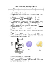 2020年山西省阳泉市中考生物试卷