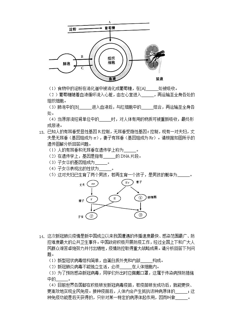 2020年甘肃省平凉市中考生物试卷03
