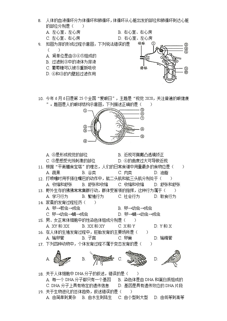 2020年广东省佛山市顺德区初中生物结业考试试卷02