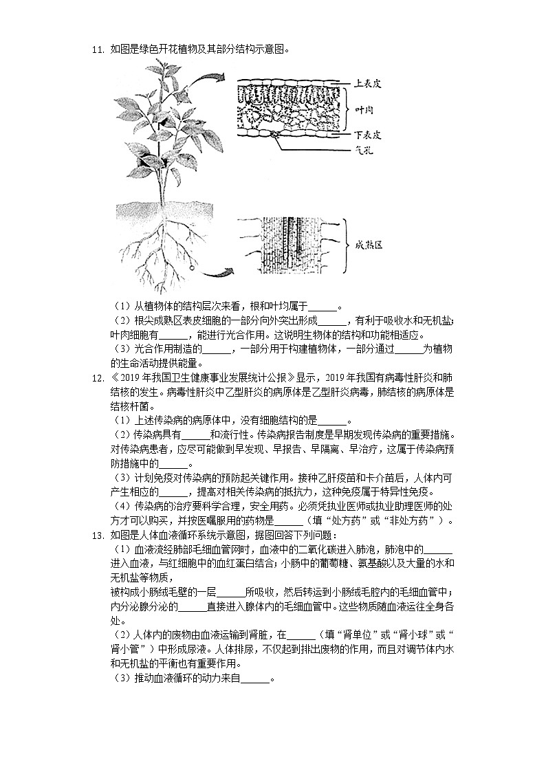 2020年安徽省中考生物试卷03