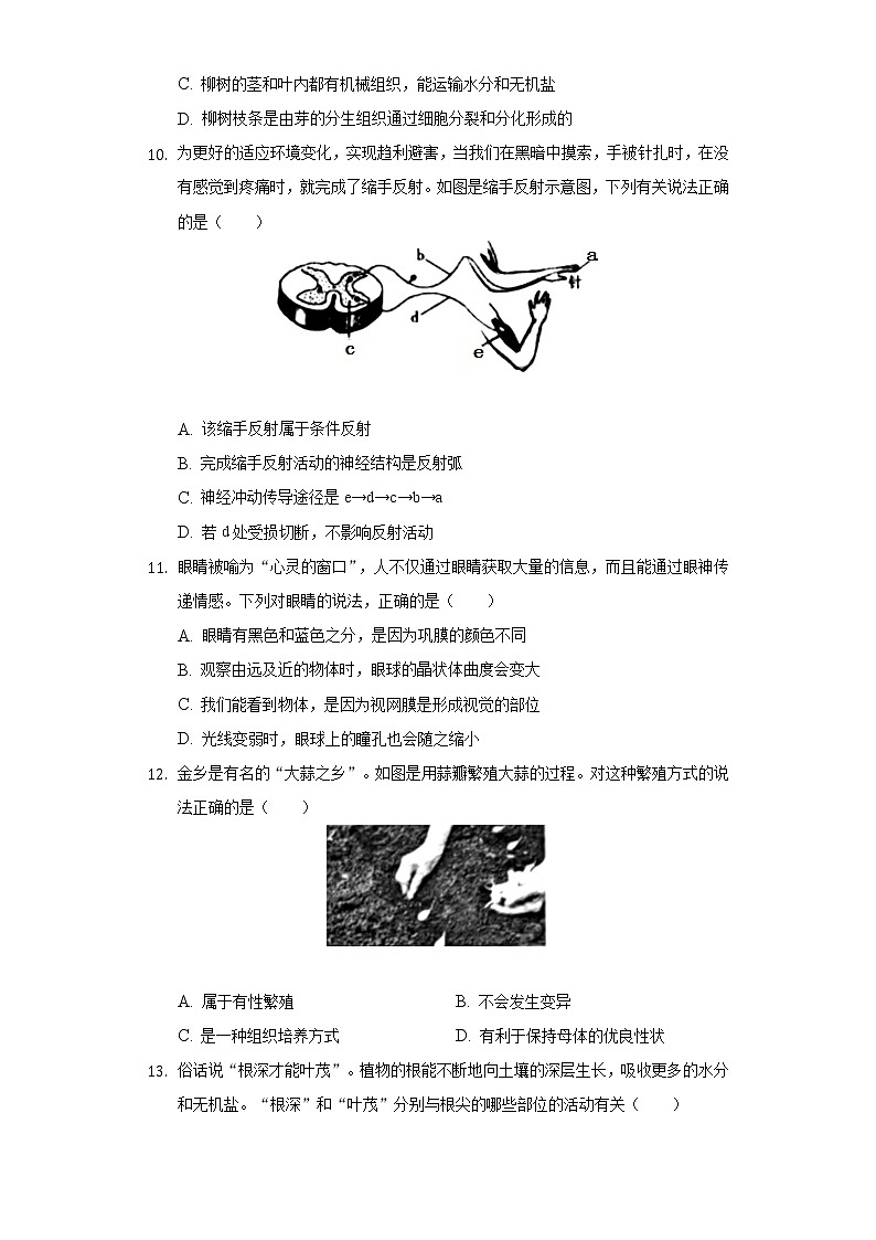 2020年山东省济宁市中考生物试卷03