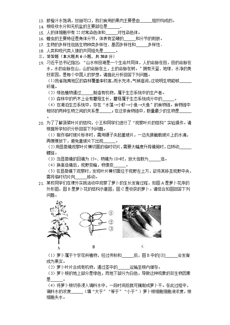 2020年甘肃省定西市中考生物试卷02