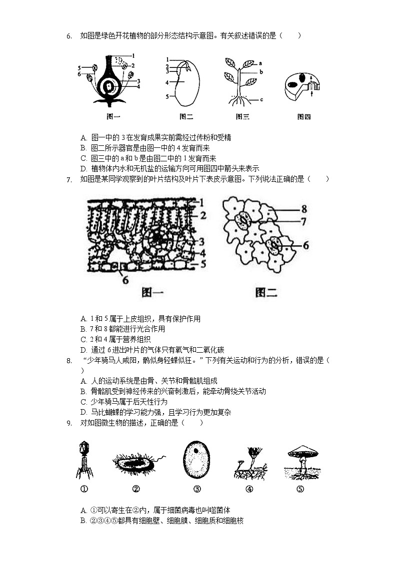 2020年山东省菏泽市中考生物试卷02