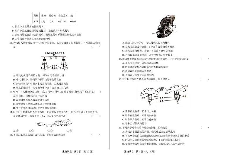 2020年山东省潍坊中考生物试卷附答案解析02