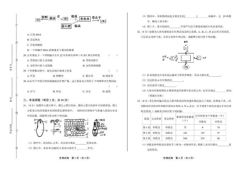 2020年四川省广安中考生物试卷附答案解析第3页