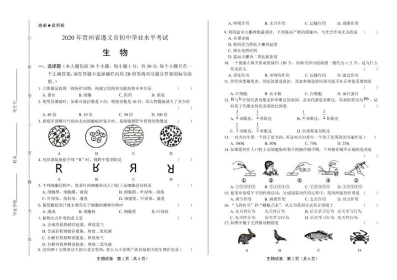 2020年贵州省遵义中考生物试卷附答案解析01