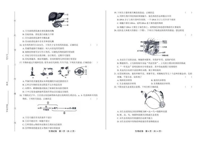 2020年山东省东营中考生物试卷附答案解析03