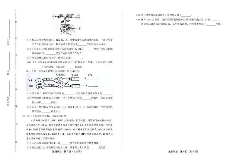 2020年辽宁省营口中考生物试卷附答案解析03