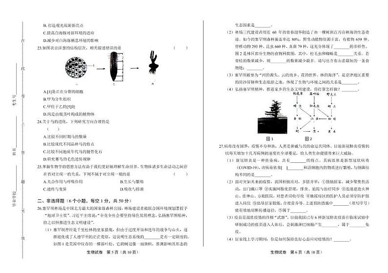 2020年山东省烟台中考生物试卷附答案解析03