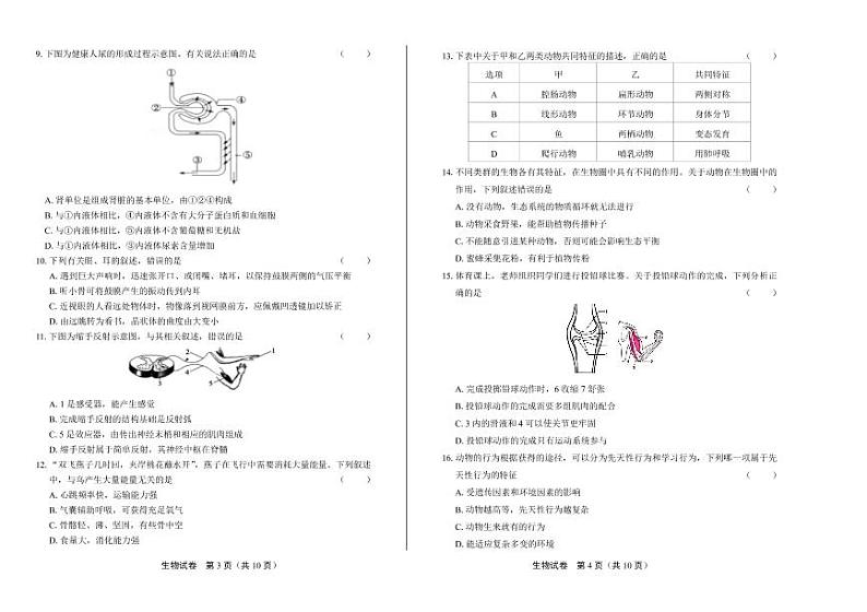 2020年山东省聊城中考生物试卷附答案解析02