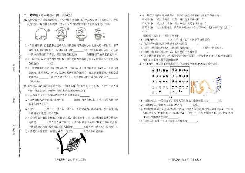 2020年广东省深圳中考生物试卷附答案解析03