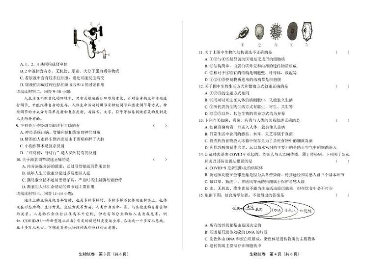2020年四川省南充中考生物试卷附答案解析第2页