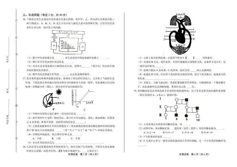 2020年四川省南充中考生物试卷附答案解析第3页