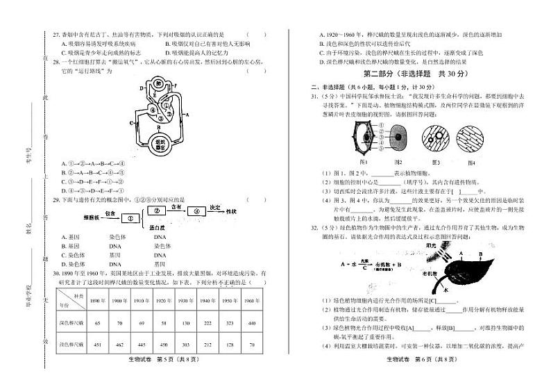 2020年陕西省中考生物学试卷附答案解析03