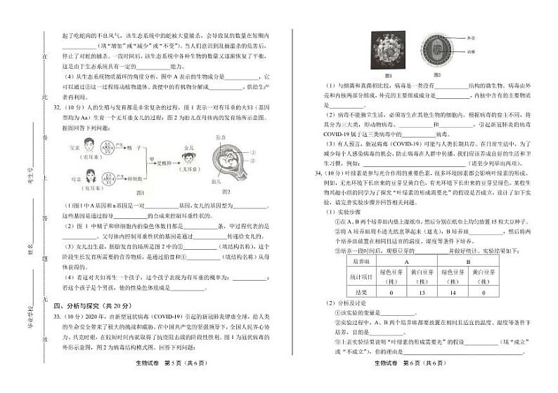 2020年四川省成都中考生物试卷附答案解析03