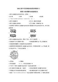 2021年中考生物重难实验冲刺练习：观察小鱼尾鳍内血流的流动（答案解析版）