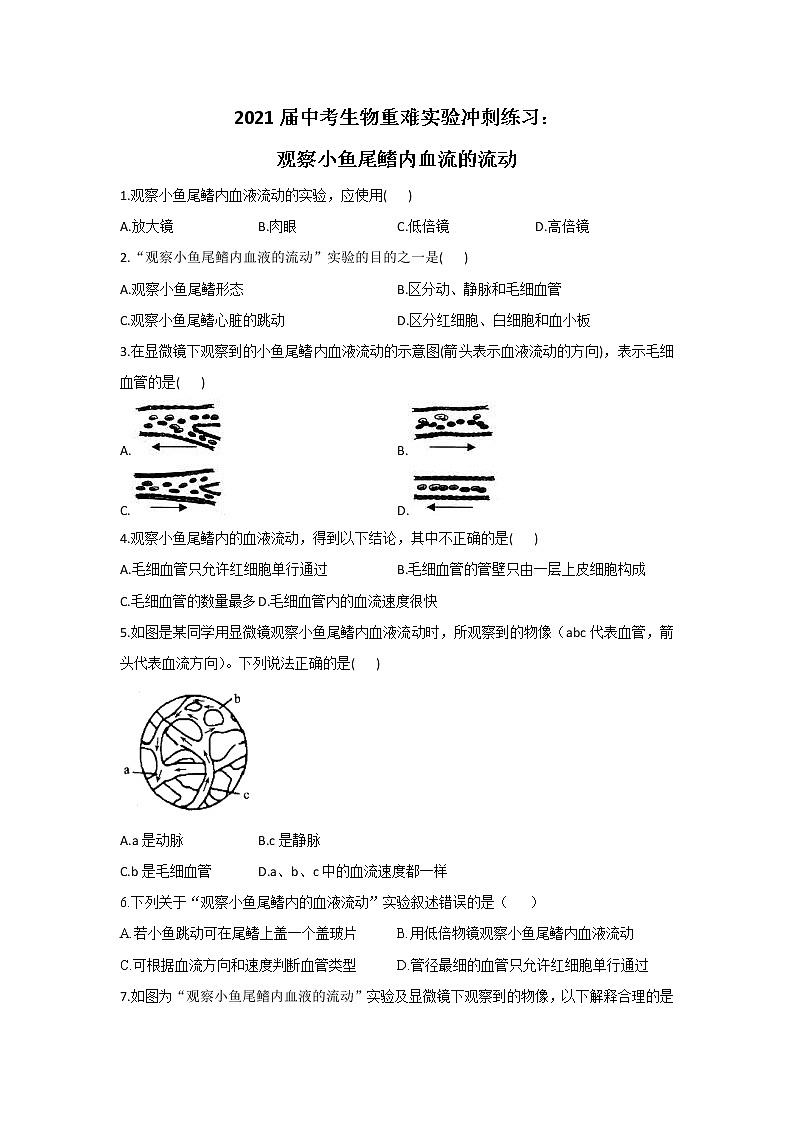 2021年中考生物重难实验冲刺练习：观察小鱼尾鳍内血流的流动（答案解析版）01