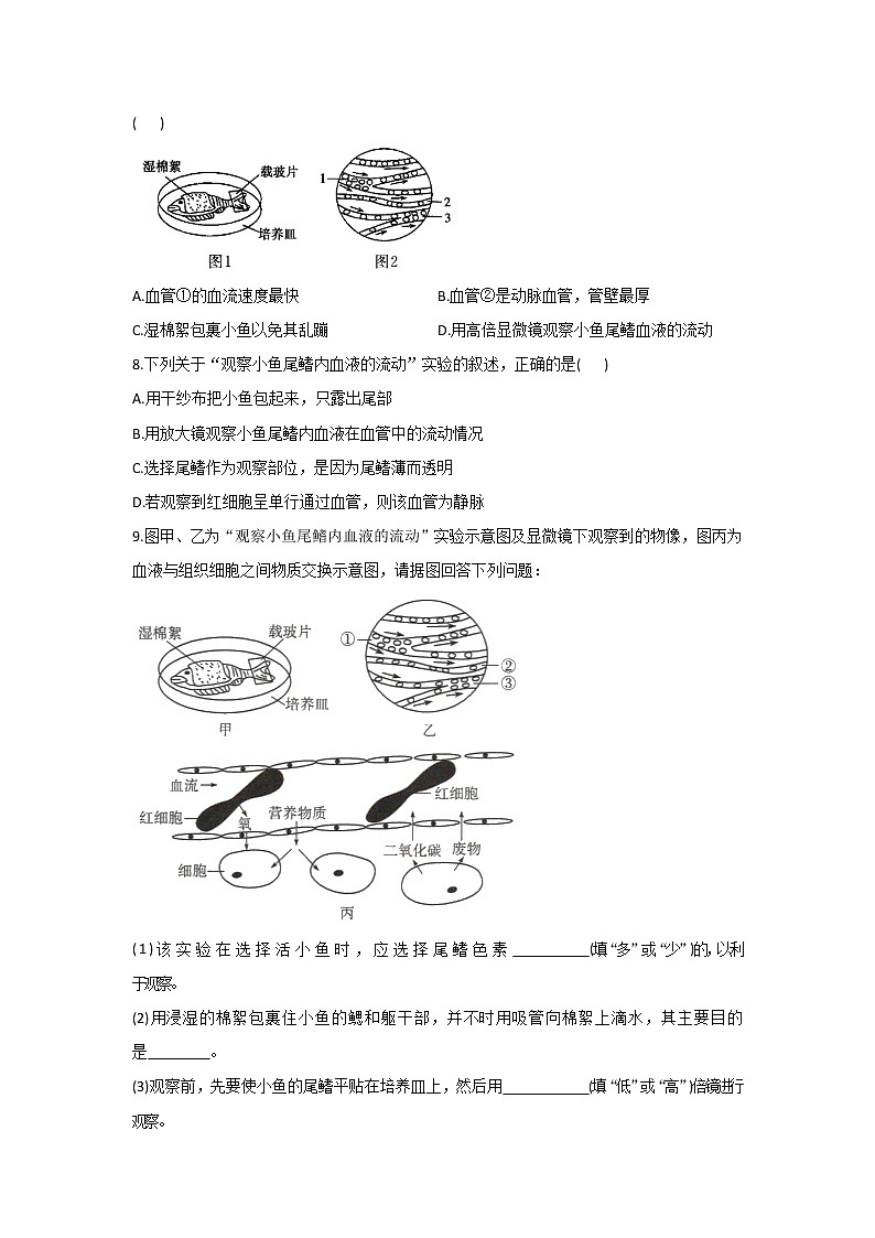 2021年中考生物重难实验冲刺练习：观察小鱼尾鳍内血流的流动（答案解析版）02