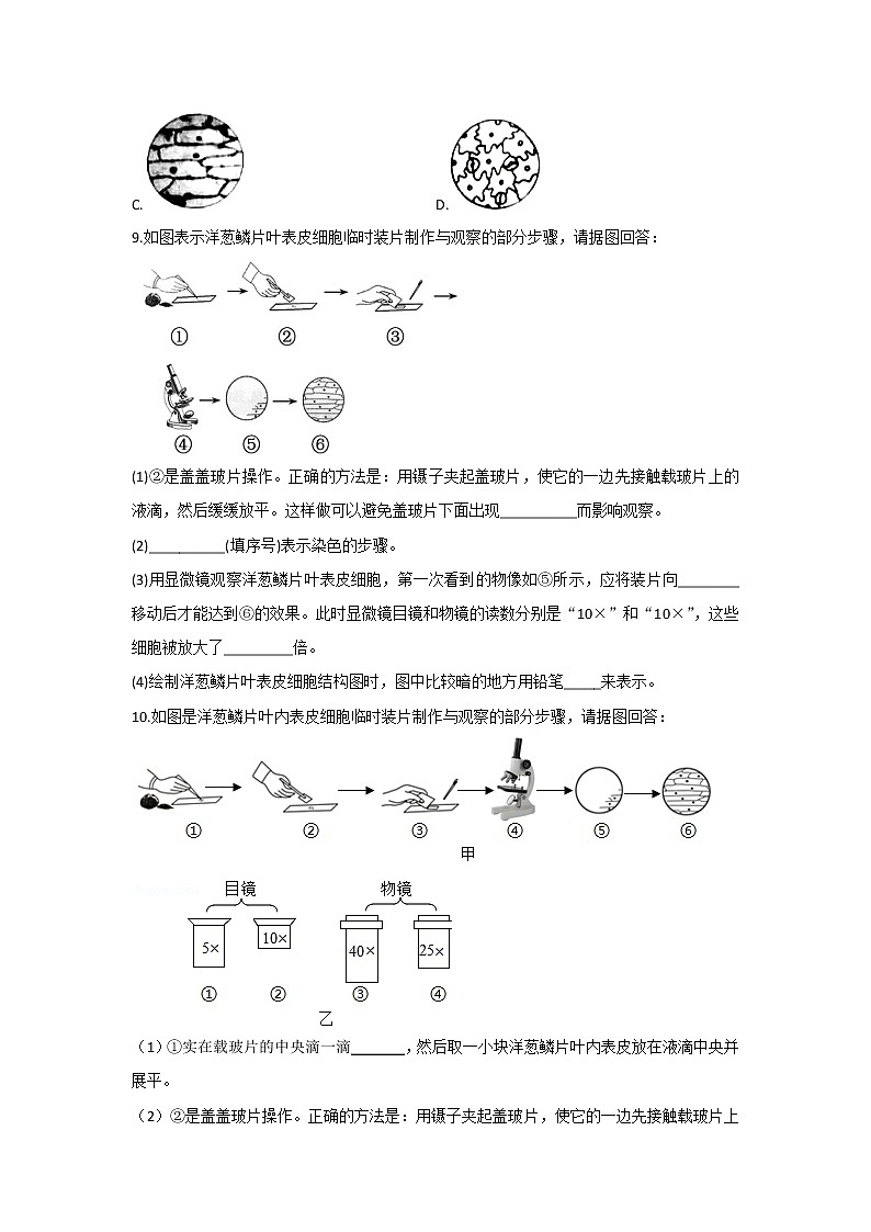 2021年中考生物重难实验冲刺练习：观察洋葱鳞片叶表皮细胞临时装片（答案解析版）03