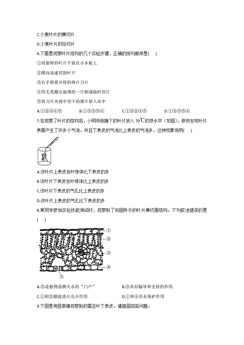 2021年中考生物重难实验冲刺练习：观察叶片的结构（答案解析版）02