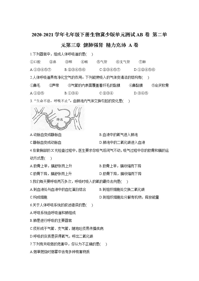 2020-2021学年七年级下册生物冀少版单元测试AB卷 第二单元第三章 健肺强肾 精力充沛 A卷（答案解析版）01
