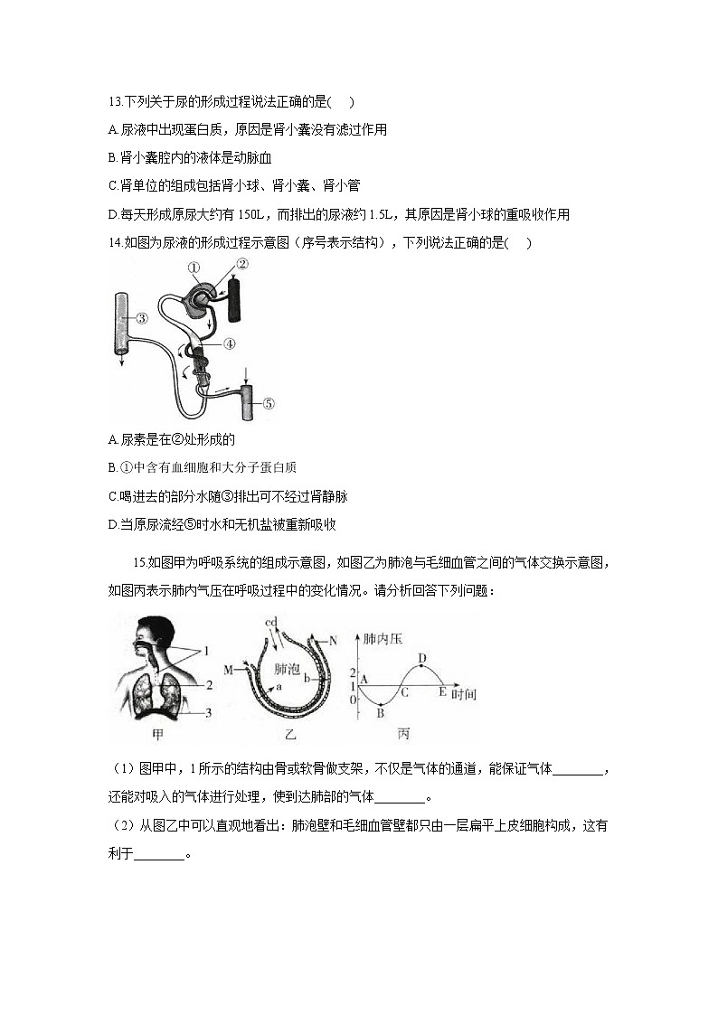 2020-2021学年七年级下册生物冀少版单元测试AB卷 第二单元第三章 健肺强肾 精力充沛 A卷（答案解析版）03