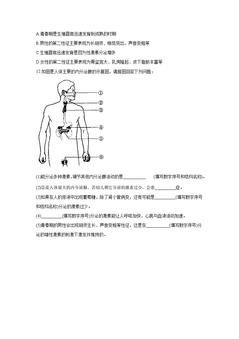 2020-2021学年七年级下册生物冀少版单元测试AB卷 第二单元第五章 正常发育 健康成长 B卷（答案解析版）03
