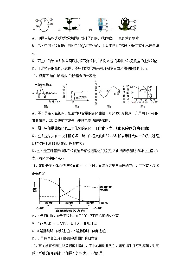 2021年山东省菏泽市巨野县中考二模生物试题（word版 含答案）03