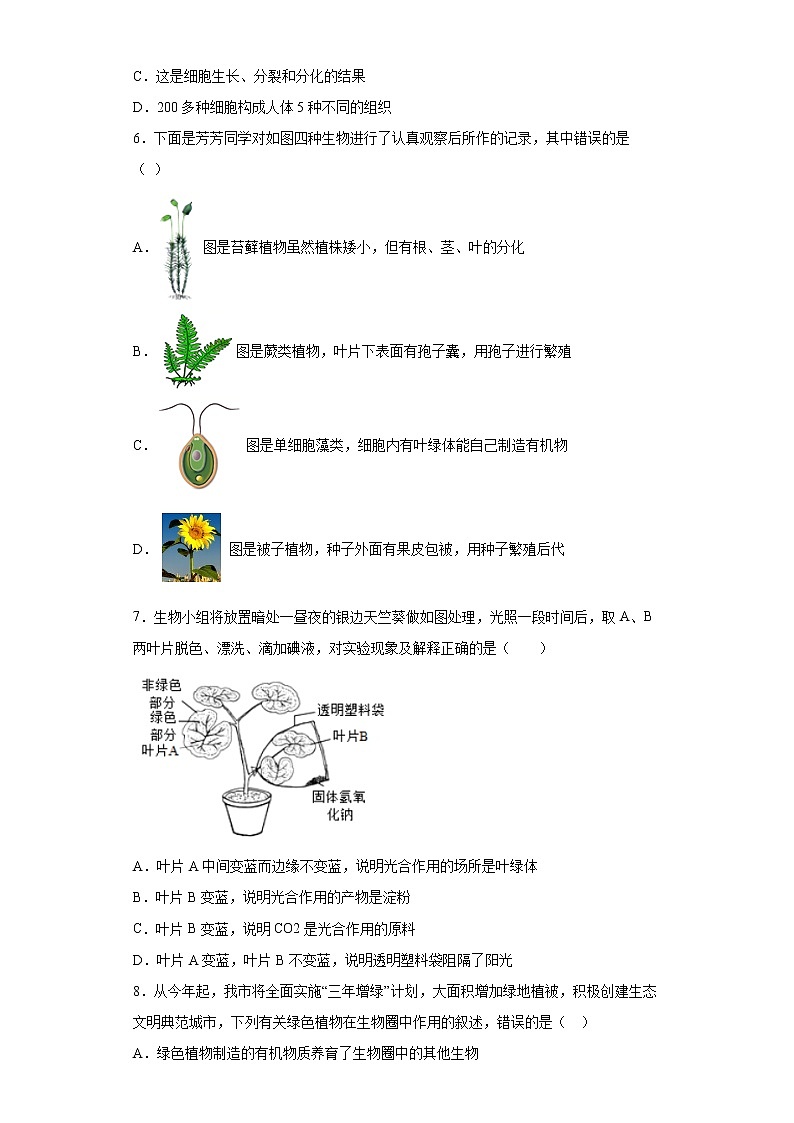 2021年山东省德州市武城县中考一模生物试题（word版 含答案）02