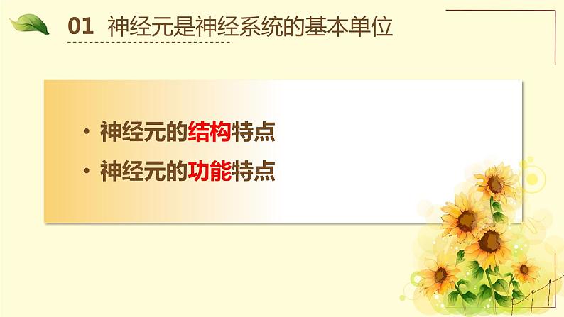 北京版生物七年级下册课件 8.1 神经系统的组成-- 神经元的结构和功能（18张PPT）02