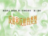 苏教版七年级下册生物  4.12.2人体的神经调节 课件 （24张PPT）