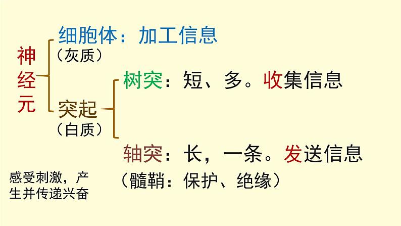 京改版生物七年级下册课件 8.1 神经系统的组成（17张PPT）01