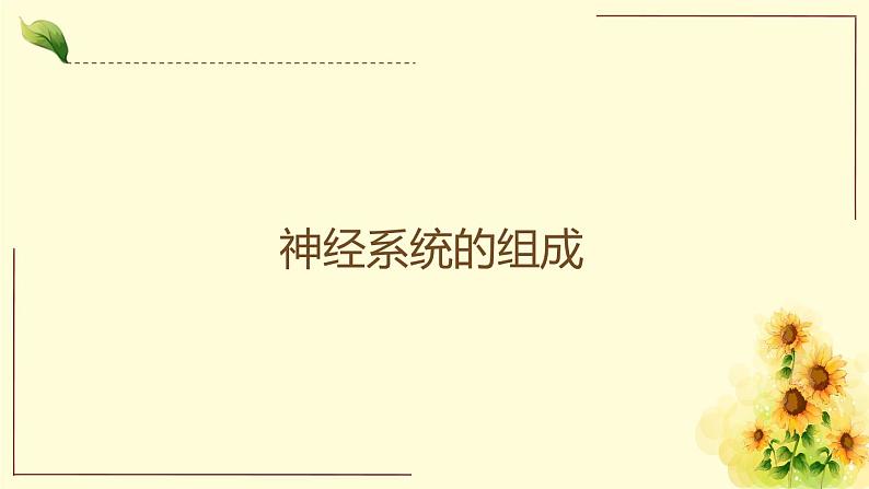 京改版生物七年级下册课件 8.1 神经系统的组成（17张PPT）02