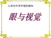 人教版生物七年级下册6.1人体对外界环境的感知（第1课时）课件（16张PPT）
