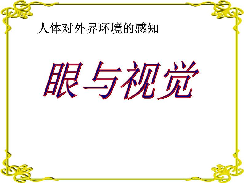 人教版生物七年级下册6.1人体对外界环境的感知（第1课时）课件（16张PPT）02