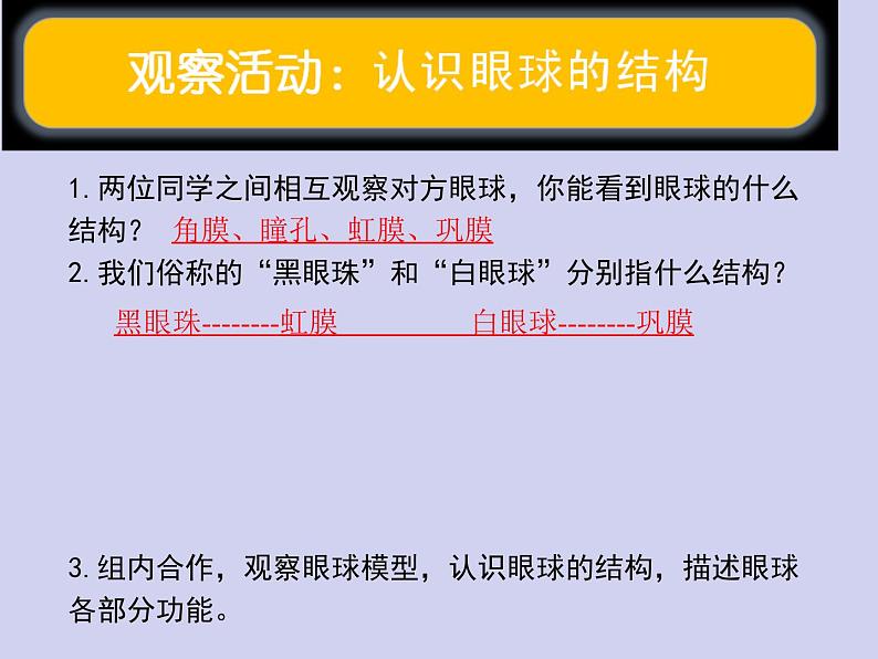 人教版生物七年级下册6.1人体对外界环境的感知（第1课时）课件（16张PPT）03