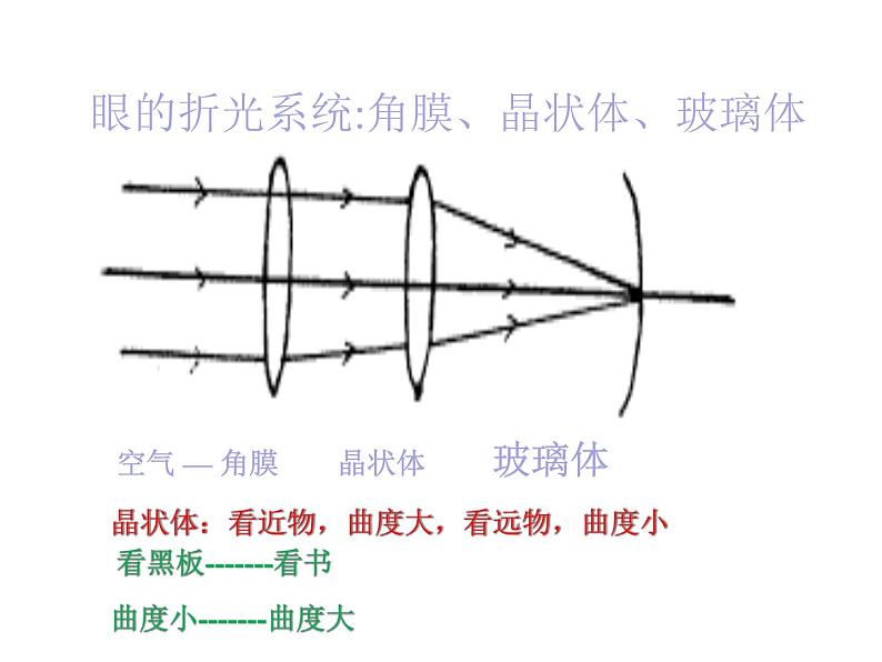 人教版生物七年级下册6.1人体对外界环境的感知（第1课时）课件（16张PPT）06