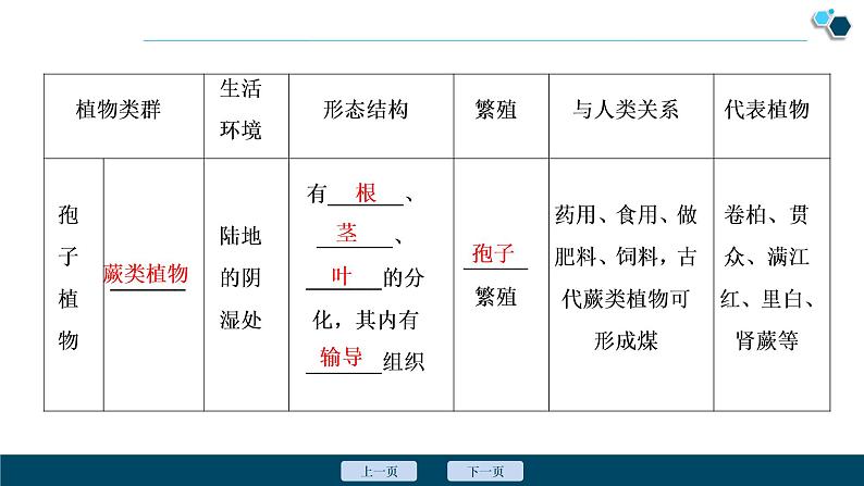 1 第一章　生物圈中有哪些绿色植物 课件05