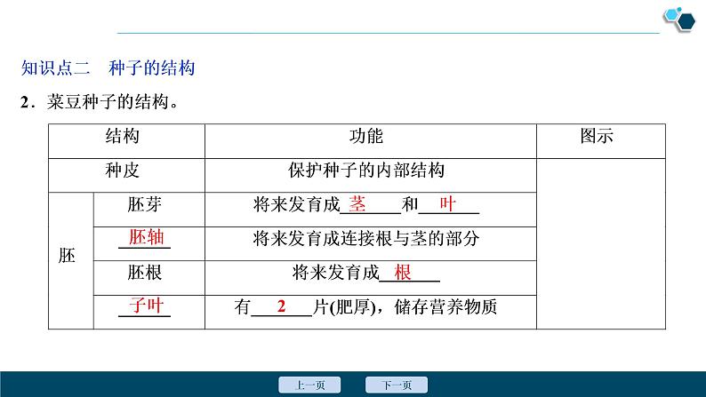 1 第一章　生物圈中有哪些绿色植物 课件07