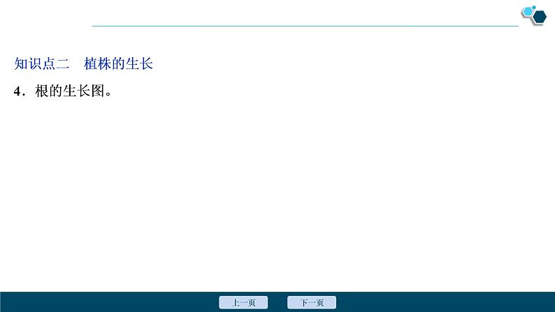 2 第二章　被子植物的一生第7页