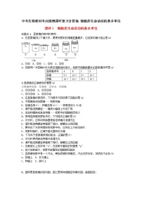 中考生物教材考点梳理课时复习含答案：细胞是生命活动的基本单位