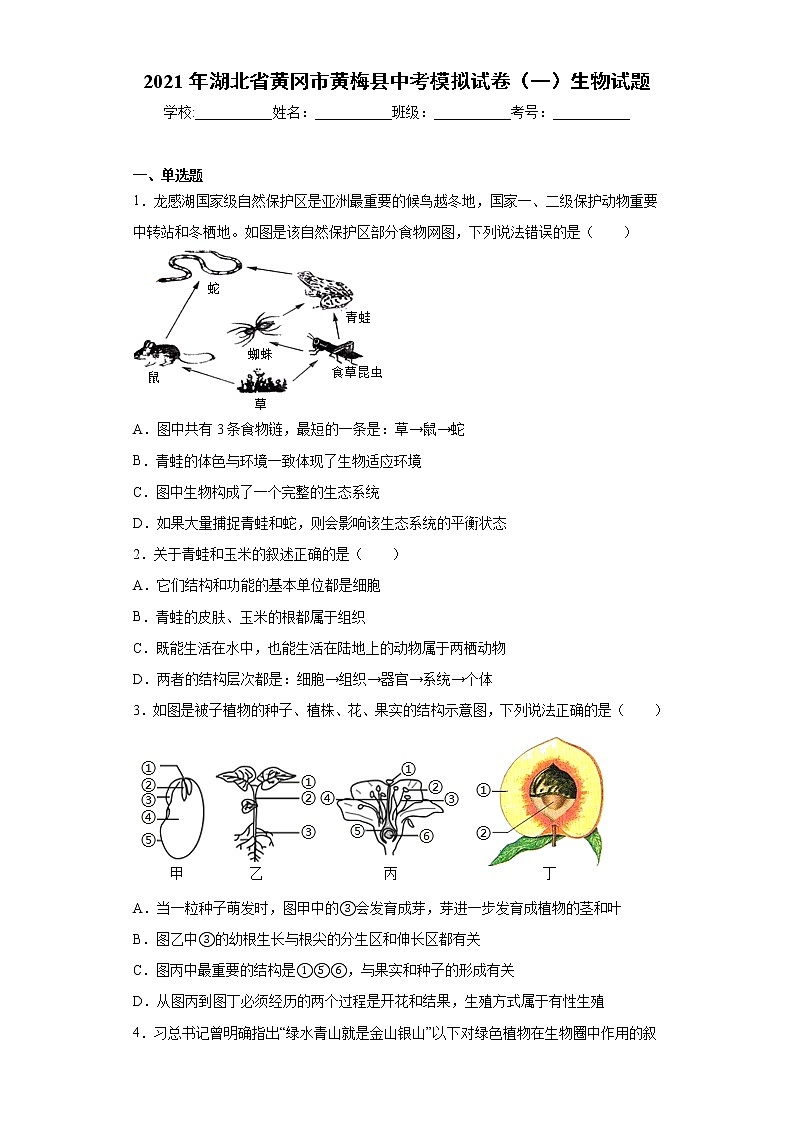 2021年湖北省黄冈市黄梅县中考模拟试卷（一）生物试题（word版 含答案）01