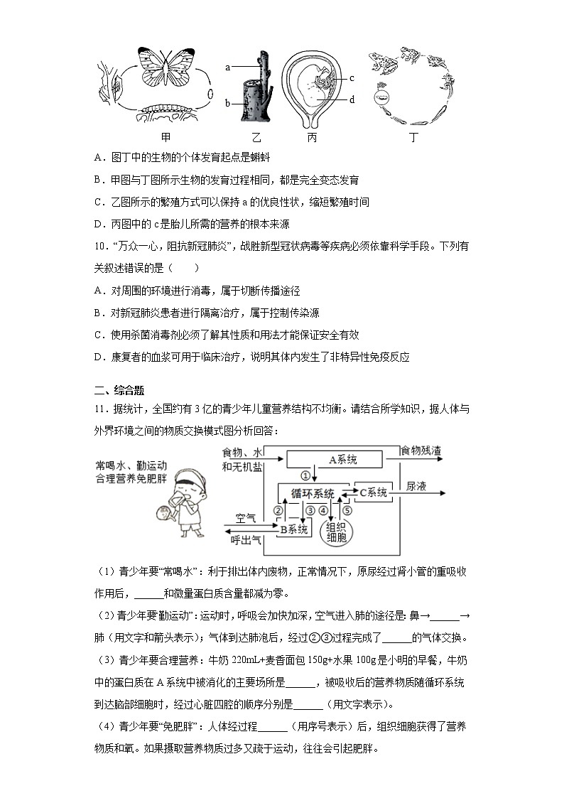 2021年湖北省黄冈市黄梅县中考模拟试卷（一）生物试题（word版 含答案）03