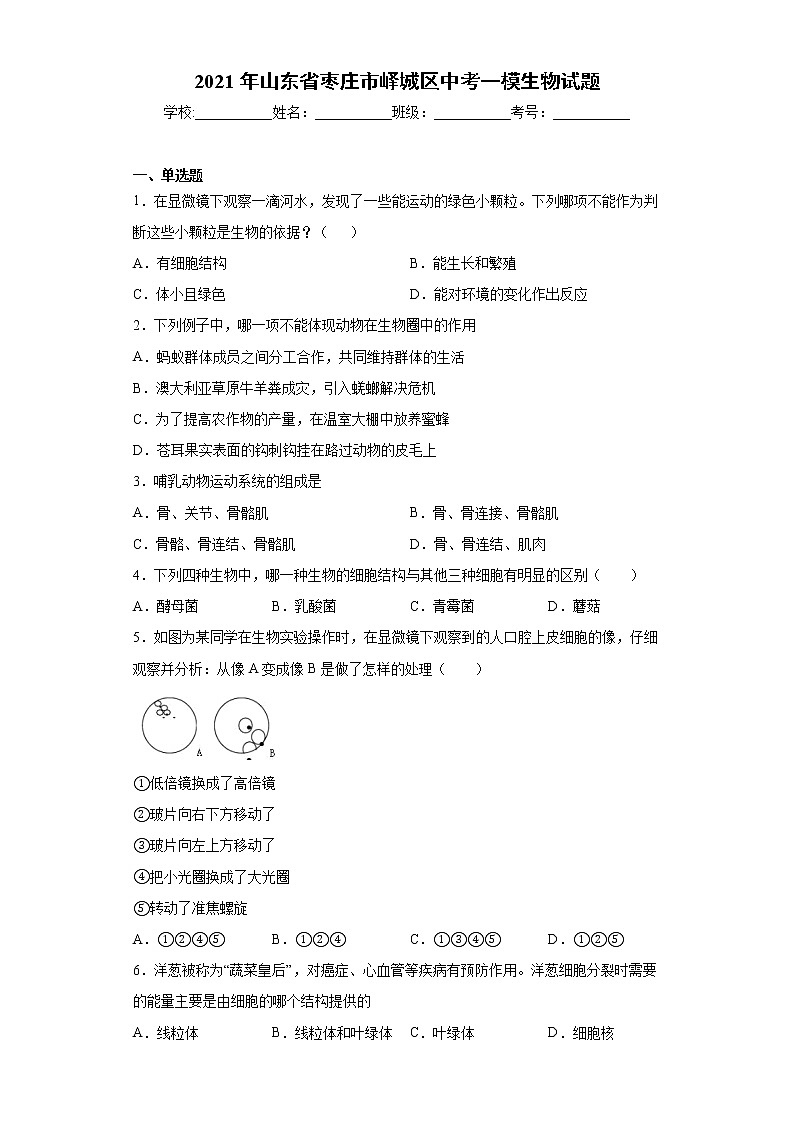 2021年山东省枣庄市峄城区中考一模生物试题（word版 含答案）01