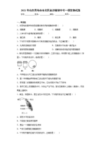 2021年山东青岛市市北区金沙超银中考一模生物试题（word版 含答案）