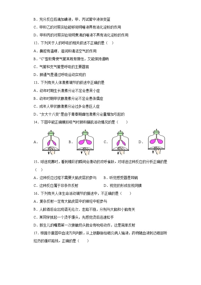 2021年山东青岛市市北区金沙超银中考一模生物试题（word版 含答案）03