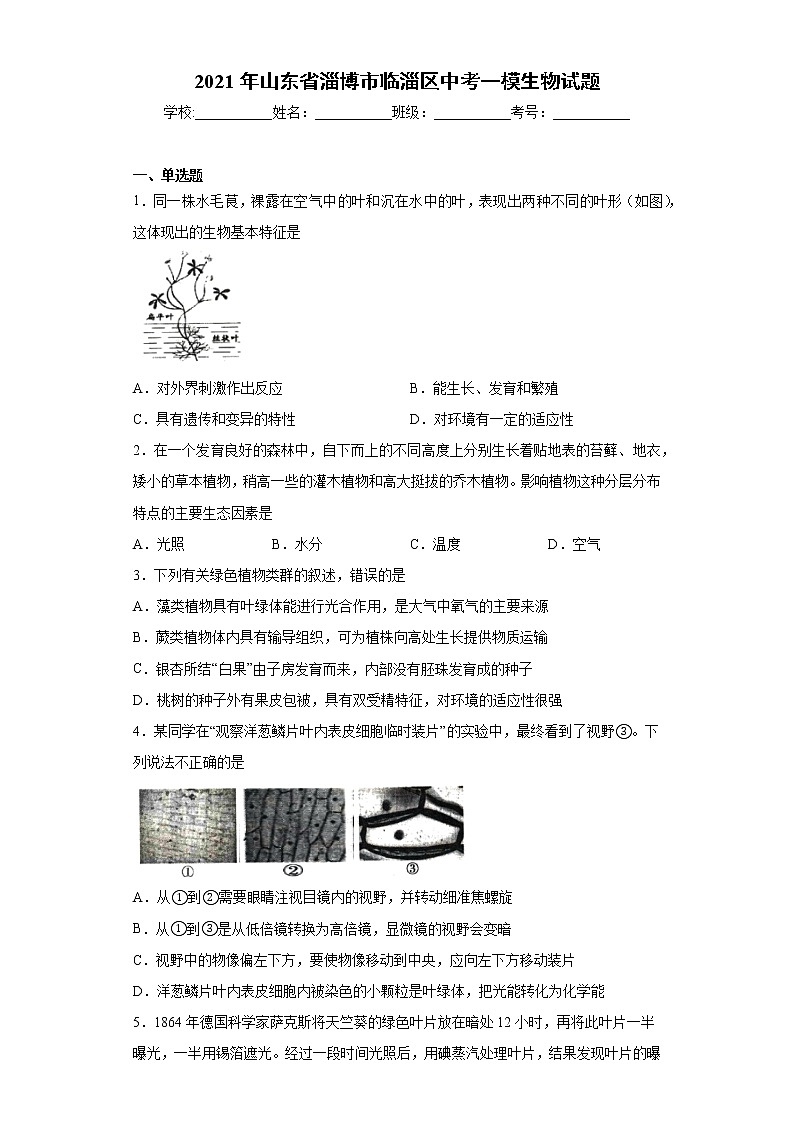 2021年山东省淄博市临淄区中考一模生物试题（word版 含答案）01