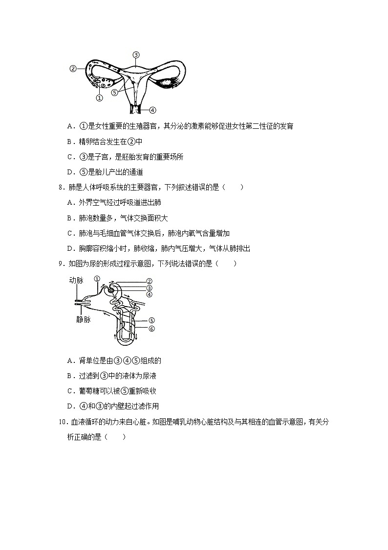 山东省聊城市莘县2021年中考生物一模试卷（word版 含答案）03