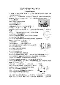 2021年广东省初中学业水平考试生物模拟试题（四）（word  含答案）