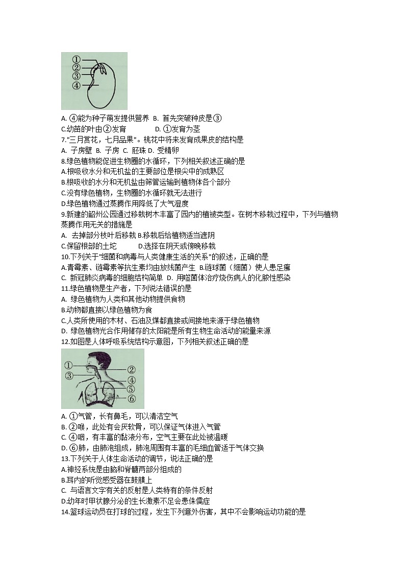 2021年广东省韶关市初中学业水平模拟考试生物试题（ 含答案）02